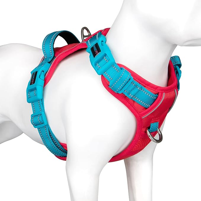 PHOEPET No Pull Dog Harness, Unique Colors Reflective Adjustable Dog Vest, with Soft Training Handle Metal Clips for Small Medium Large Dogs (Red Base & Teal Straps,L)-Mewly Pet