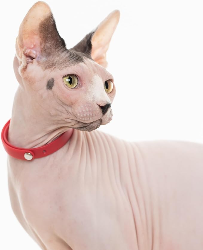 Cat Collar 2 Pack - Soft, Comfortable, and Lightweight Safety Breakaway Collar with Name Tag Ring for Outdoor Cats and Sensitive Skin Kittens by Nuvuq (6 ⅞" to 10 ¼", Red)-Mewly Pet