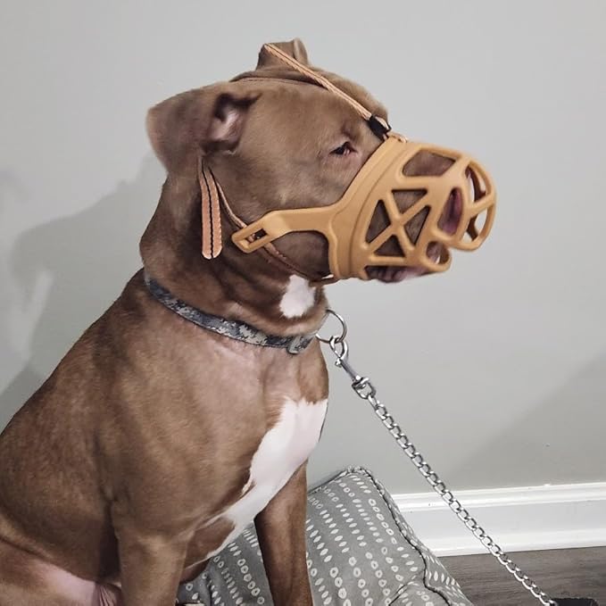 Mayerzon Dog Muzzle, Breathable Basket Muzzles for Small, Medium, Large and X-Large Aggressive Dogs Beagle German Shepherd Doberman, Cage Mouth Guard Stop Biting Chewing for Grooming Training-Mewly Pet
