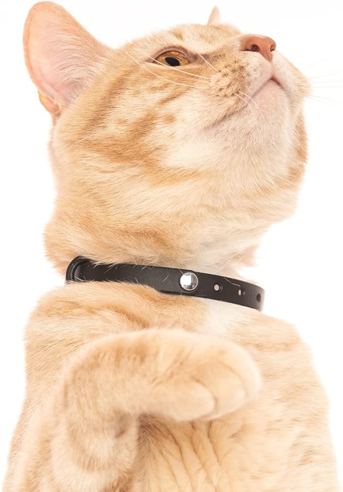 3 Pack Breakaway Cat Collar - Soft, Comfortable, and Lightweight Safety Buckle Collar with Name Tag Ring for Outdoor Cats and Sensitive Skin Kittens by Nuvuq (6 ⅞" to 10 ¼", Blue, Pink and Black)-Mewly Pet