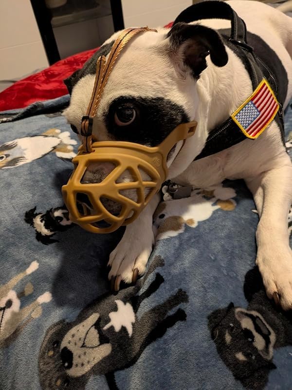 Mayerzon Dog Muzzle, Breathable Basket Muzzles for Small, Medium, Large and X-Large Aggressive Dogs Beagle German Shepherd Doberman, Cage Mouth Guard Stop Biting Chewing for Grooming Training-Mewly Pet