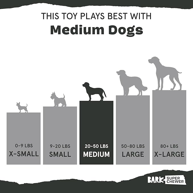 Barkbox Super Chewer Rad Herring Hard Core Toy with Rip Away Plush for Aggressive Chewers, Medium-Mewly Pet