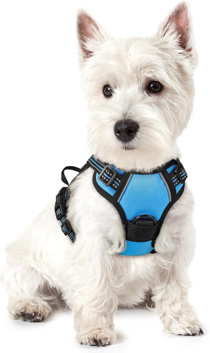 rabbitgoo Dog Harness No Pull with 2 Leash Clips, Adjustable Soft Padded, Reflective Oxford No Choke Pet Vest with Easy Control Handle for Puppy, Blue, XS-Mewly Pet