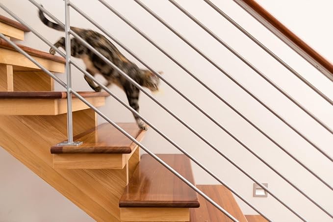 InClover Connectin Natural Hip & Joint Supplement for Dogs with Glucosamine, Chondroitin & Hyaluronic Acid - Powder for Dog Mobility, Comfort & Active Lifestyle Support, 3.oz-Mewly Pet