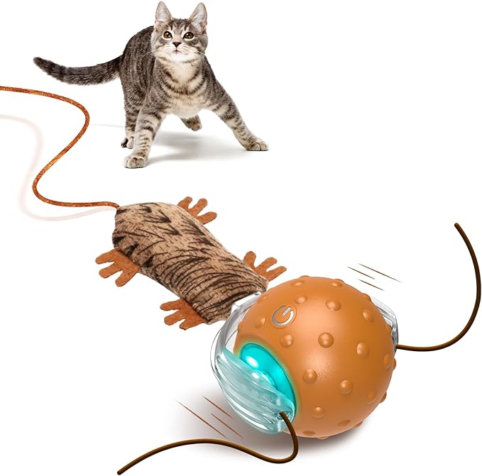 Interactive Cat Toy Ball - Automatic Interactive Cat Toy Designed by Mice, A Mobile Cat Ball, Boring Indoor Cat Toys-Mewly Pet