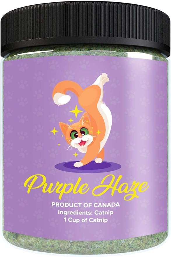Purple Haze Catnip, Premium Blend Safe for Cats, Infused with Maximum Potency Your Kitty is Sure to Go Crazy for (1 Cup)-Mewly Pet