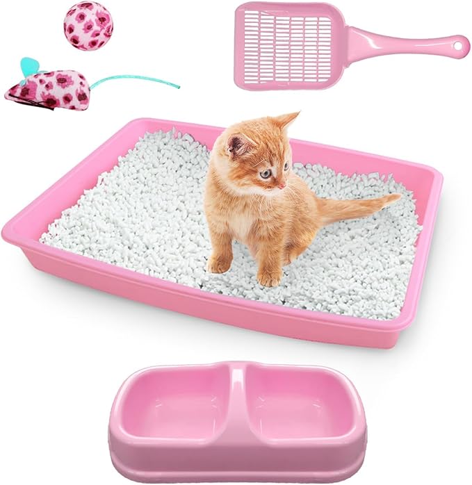 PAWISE Cat Litter Box Set, Small Kitten Starter Kit, Includes Litter Box, Litter Scoop, Double Dish Feeding Bowl, Cat Mouse Toy, Kitty Ball Toy, Pink-Mewly Pet