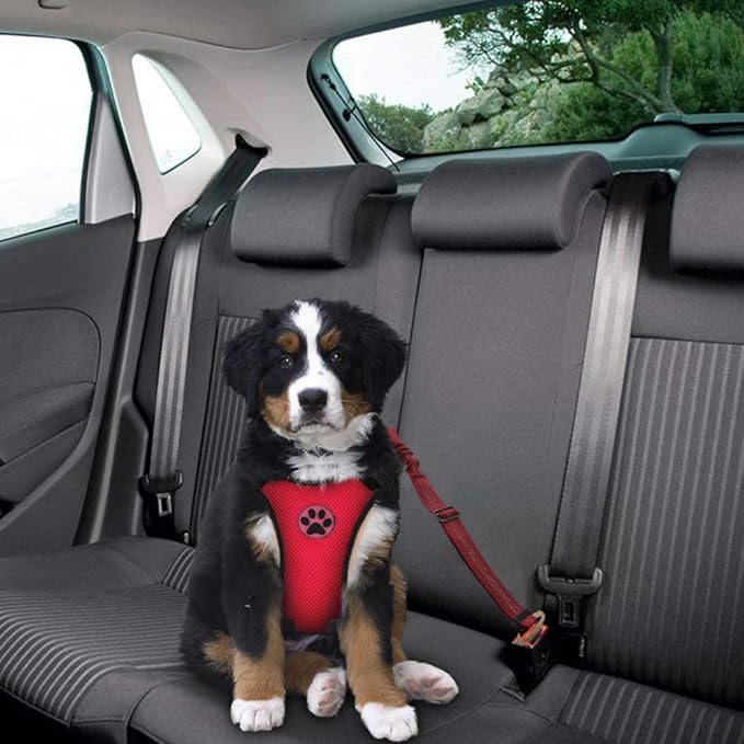 SlowTon Dog Seat Belt Harness for Car, Dog Car Harness Adjustable Mesh Breathable & Dog Seatbelt Safety Tether with Elastic Bungee for Small Medium Large Pets(Red Seatbelt, Single Clip, XXXS)-Mewly Pet