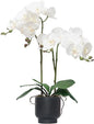 CXGS Orchids Artificial Flowers Real Touch Fake Flowers in Ceramic Pot 20" White Faux Orchid Plant Lifelike Silk Phalaenopsis for Centerpiece Hotel Home Indoor Decor