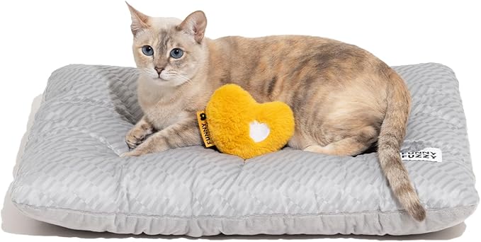 FUNNY FUZZY 2 in 1 Dog Bed Crate Pad Mat, Washable Reversible Floor Pet Mats,Fluffy Kennel Pad for Small Large Sized Dog,Indoor Cats,Sleeping Mattress, 23.6" × 17.9", Light Grey-Mewly Pet