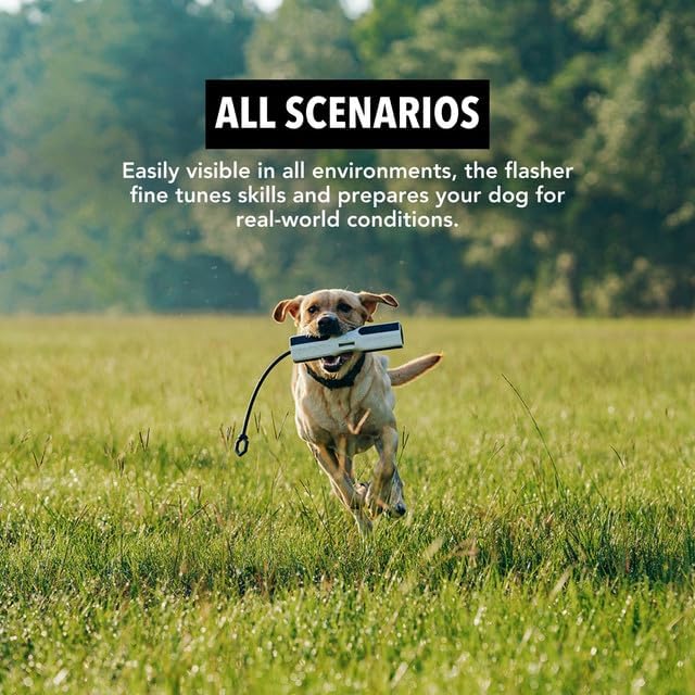 Dog Training Bumper - Retriever Training Dummy, Retrieving Dummies for Pets, Bumpers for Water Retrieving with Adjustable Rope, (Flasher)-Mewly Pet