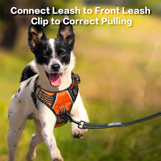 PoyPet No Pull Dog Harness, No Choke Front Clip Reflective Dog Vest with Soft Padded Vertical Handle, 3 Leash Attachments for Small Medium Large Dogs (Orange,M)-Mewly Pet
