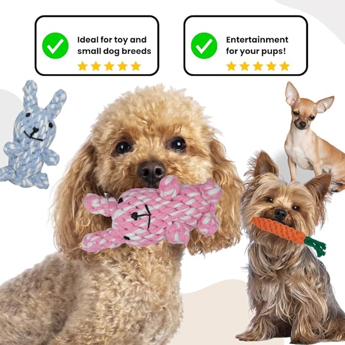 HILLBERRY Dog Rope Chew Toy Cotton Pink and Blue Rabbits and Carrot Bundle Set for Teething Puppy, Small, Miniature and Toy Breed Cute Pet Play Essentials-Mewly Pet