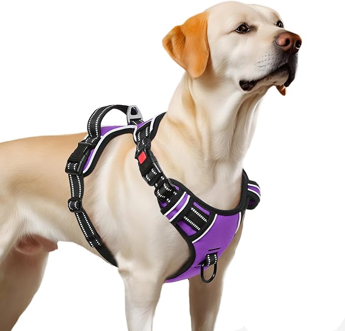 Timos Dog Harness Large Sized, No Pull with Neck Lockable Snap,No Choke Front Clip Dog Reflective Harness,Adjustable Metal Rings 3 Buckles,Easy Control Handle for Large Dogs Purple L-Mewly Pet