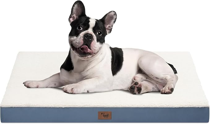 Medium Dog Bed for Medium/Small Dogs, Orthopedic Dog Beds with Removable Washable Waterproof Cover, Egg Crate Foam Pet Bed Mat, Blue White-Mewly Pet