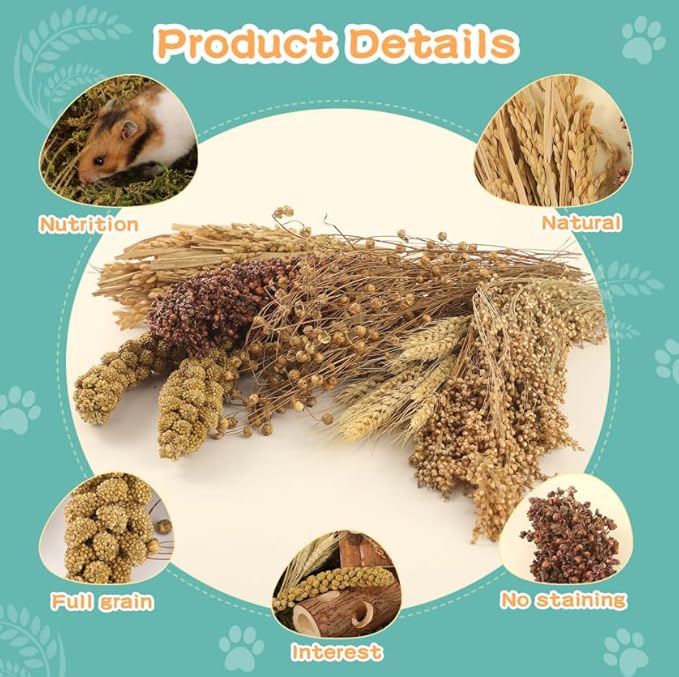 Hamster Spray Set - Natural Snack Grains & Chew Toys for Cage Decoration Accessories, Soft Bedding for Dwarf Syrian Hamsters, Gerbils, Mice & Small Pets-Mewly Pet
