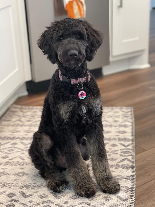 LYP Original Soundless Pet ID Tags | Custom Dog Tags Personalized for Pets | Durable Silicone Deep Engraved Dog Tag | No More Jingling | Pink Paw-Mewly Pet