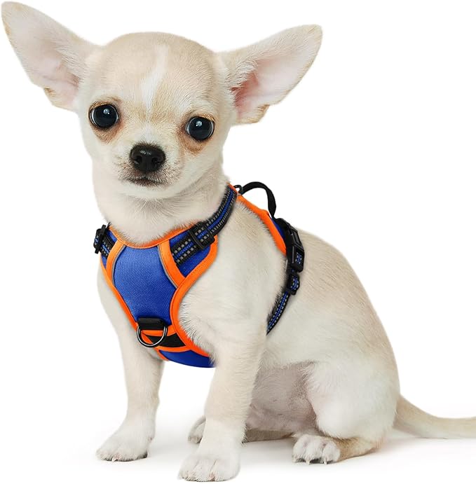 Eagloo Small Dog Harness No Pull, Service Vest with Reflective Strips and Control Handle, Adjustable and Comfortable for Walking, No Choke Pet Harness with 2 Metal Rings, Blue & Orange, XS-Mewly Pet
