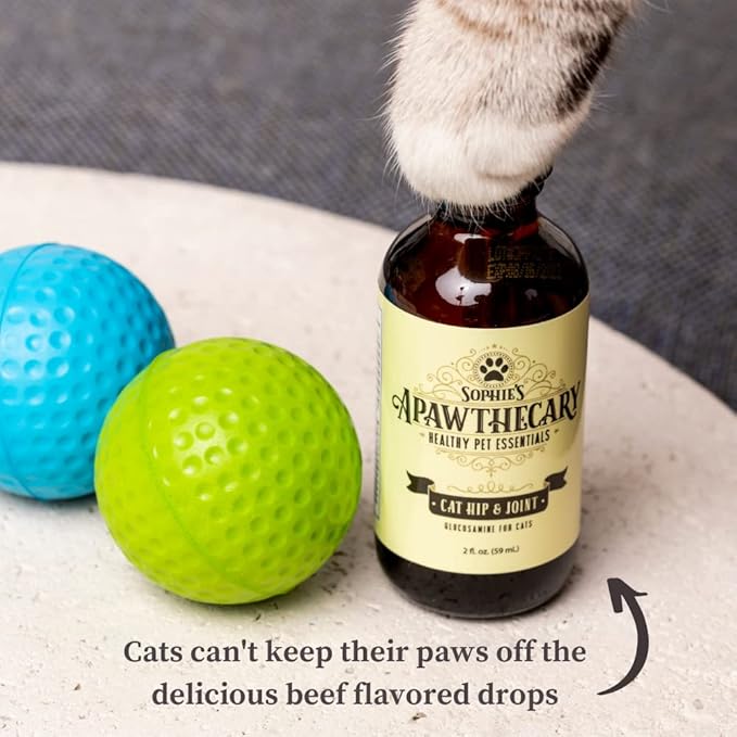 Sophie's Apawthecary Cat Hip and Joint Glucosamine Liquid Supplement 2 oz for Pain Relief and Improved Joint Flexibility-Mewly Pet