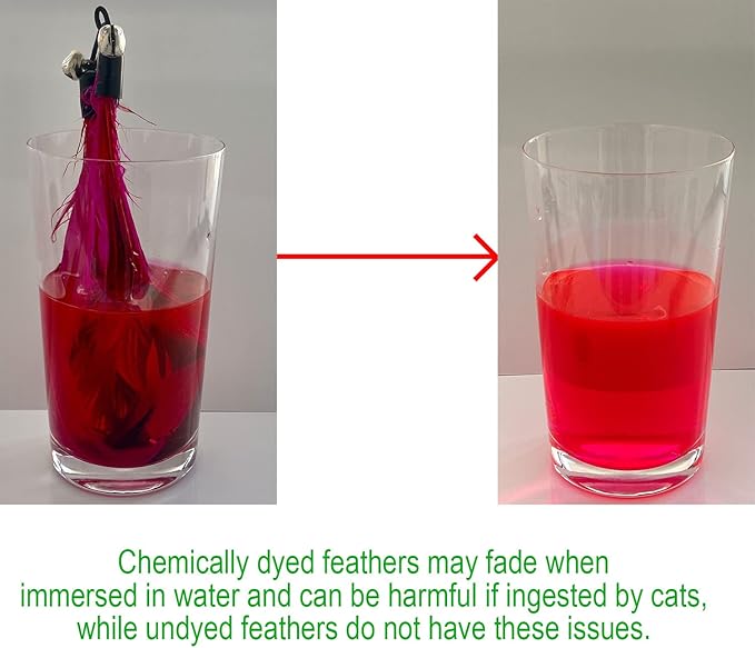 Cat Toys - No Chemical Dyeing Cat Feather Toys for Indoor Cats - Include Cat Wand and Natural Feather Refills-Mewly Pet