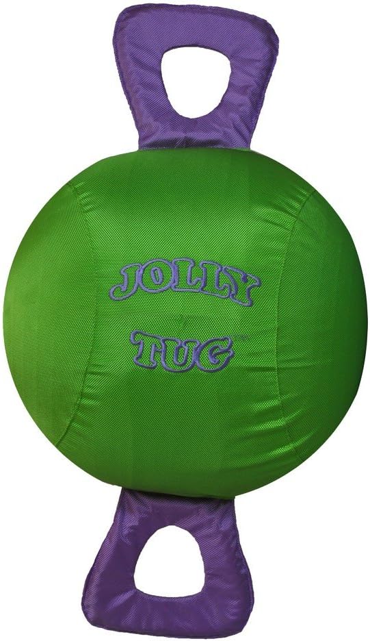 Horsemen's Pride 14" Jolly Tug Horse Toy, Green (JT14 G)-Mewly Pet