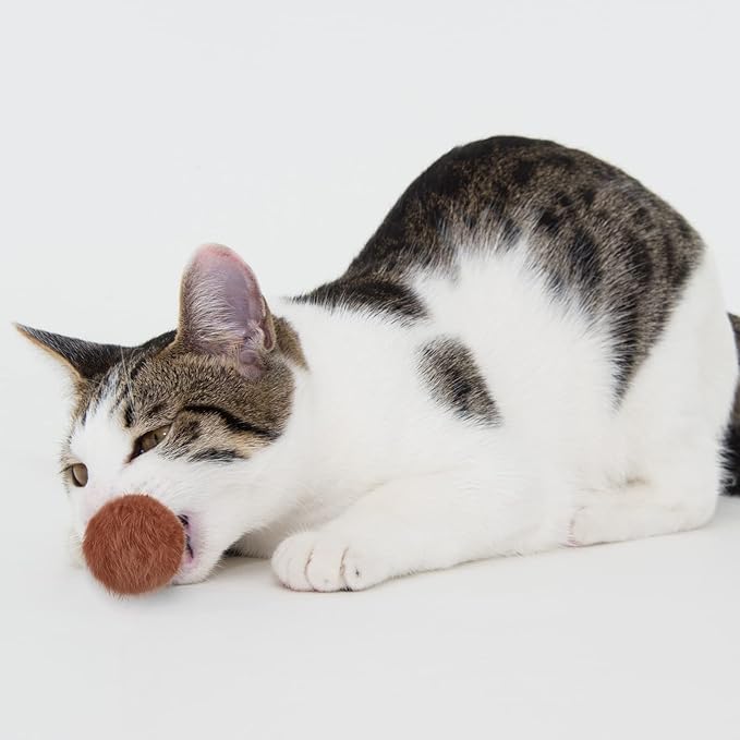 LEIFIDE 12 Pieces Real Rabbit Fur Pom Pom Kitty Cat Toy Fluffy Cat Balls Soft Fuzzy Balls for Kitty Pets Kitten Chase Quiet Play, 3 Inches in Diameter(Bright Color)-Mewly Pet