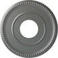 Ekena Millwork Bradford Ceiling Medallion, Silver