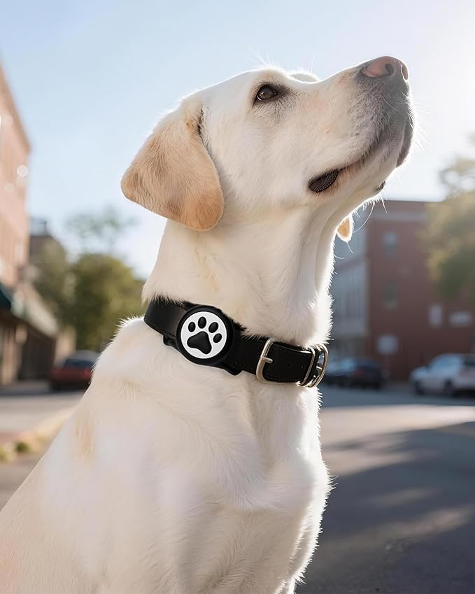 IP68 Waterpoof Dog Airtag Holder, Stretchy Silicone Full Body Covered Apple Air Tag Holder for Dog Cat Collar Fit All Width Collar (Black, 1 Pack)-Mewly Pet