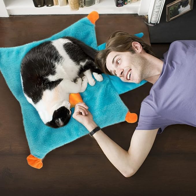 AWOOF Cute Soft Catnip Mat, Interactive Cat Toys for Indoor Cats-Mewly Pet