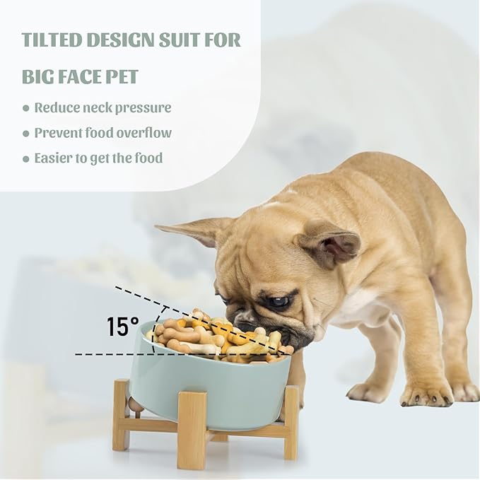 SPUNKYJUNKY 15° Slanted Ceramic Dog and Cat Bowl with Wooden Stand, Tilted Bulldog Food and Water Bowl No Slip Non-Spill for Cats Medium Dogs Big Face Pets 28.7 OZ (3.6 Cups, Morandi Green)-Mewly Pet