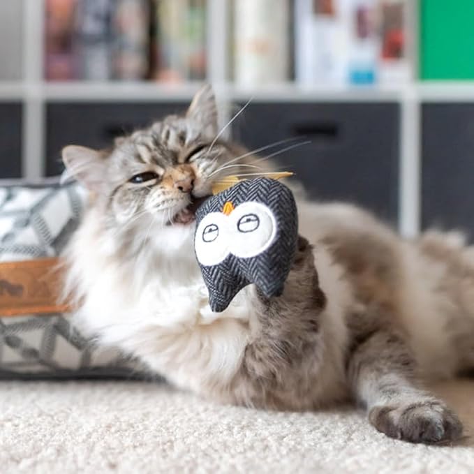 P.L.A.Y. Cute Cat Toys - Feline Frenzy Animal Critter Themed Catnip Filled Toy, Great for Adult Cats and Kittens - Machine Washable, Recycled Materials, Crinkles, Rattle (Hooti-Ful Owl, Set of 2)-Mewly Pet