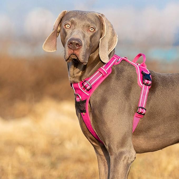 TRUE LOVE Dog Harness No Pull Nylon Reflective Pet Harness Adjustable Comfortable Control Step-in Brilliant Colors Truelove TLH56512-Mewly Pet