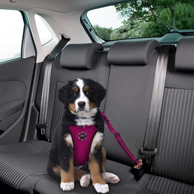 Lukovee Dog Seat Belt for Car, Adjustable Dog Car Harness for Large Medium Small Dogs, Soft Padded & Breathable Mesh Dog Seatbelt with Car Vehicle Connector Strap (Rose Red,Large)-Mewly Pet