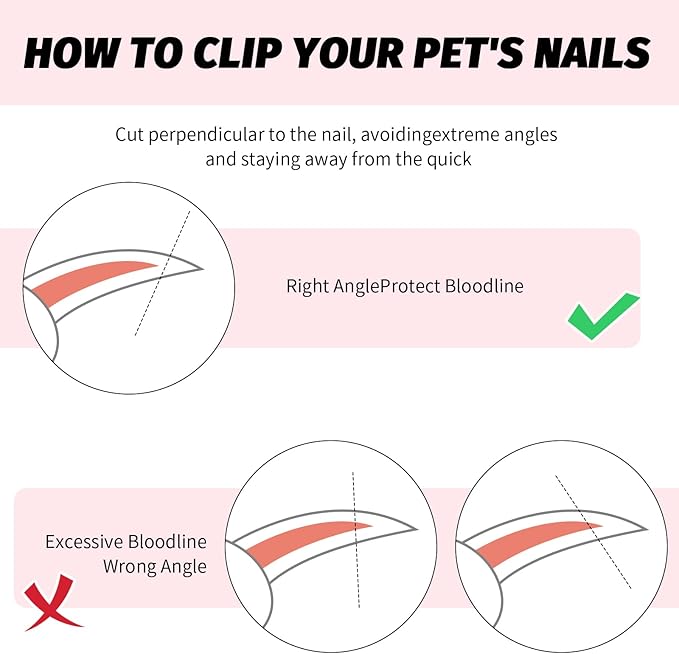 2 PCS Bearded Dragon Nail Clippers, Cat Nail Trimmer, Stainless Steel Cat Claw Clippers, with (White + Pink) Files * 2, Suitable for Reptiles, Novice Pet Families (Orange + Rose Red)-Mewly Pet