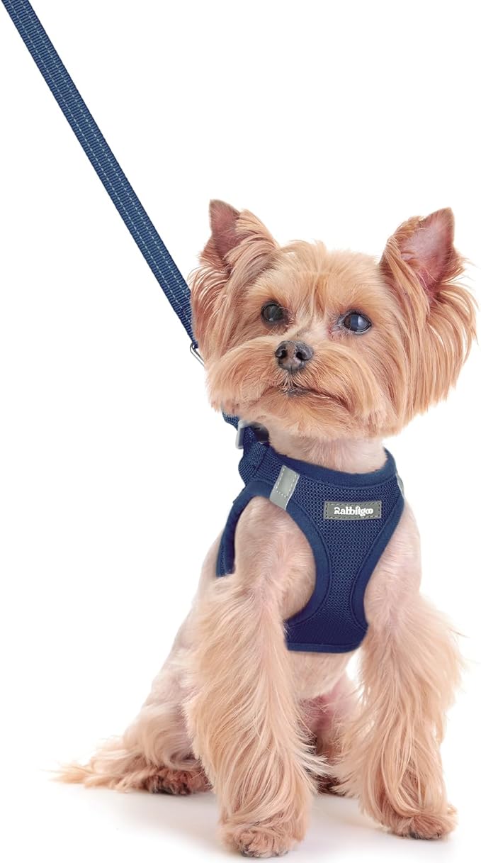 rabbitgoo Dog Harness Small Sized and Leash Set, Step in Soft Light Puppy Vest, Breathable Mesh Pet Harness, Reflective for Safe Outdoor Walking, Navy Blue XXS-Mewly Pet