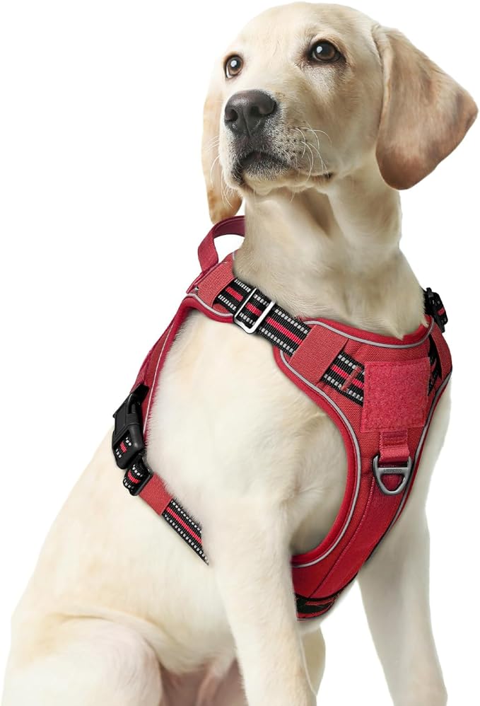 rabbitgoo Dog Harness Medium Sized No Pull, Tactical Service Pet Vest with Molle and Control Handle, Adjustable and Reflective Military Harness for Easy Walking and Training, Red, M-Mewly Pet