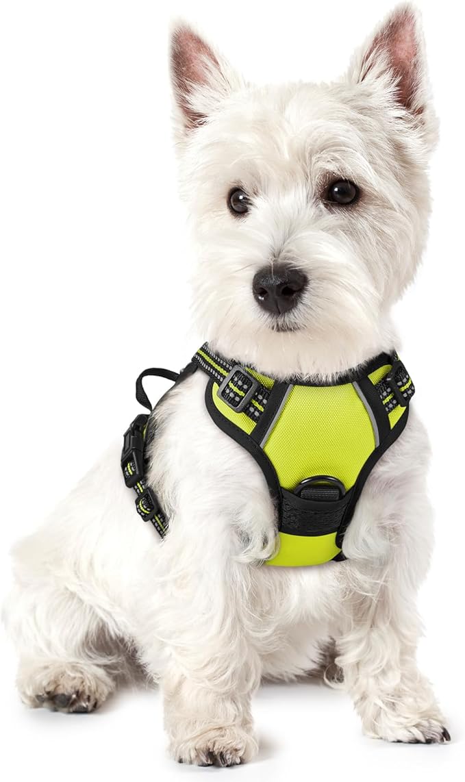 rabbitgoo Dog Harness No Pull with 2 Leash Clips, Adjustable Soft Padded, Reflective Oxford No Choke Pet Vest with Easy Control Handle for Puppy, Green, XS-Mewly Pet