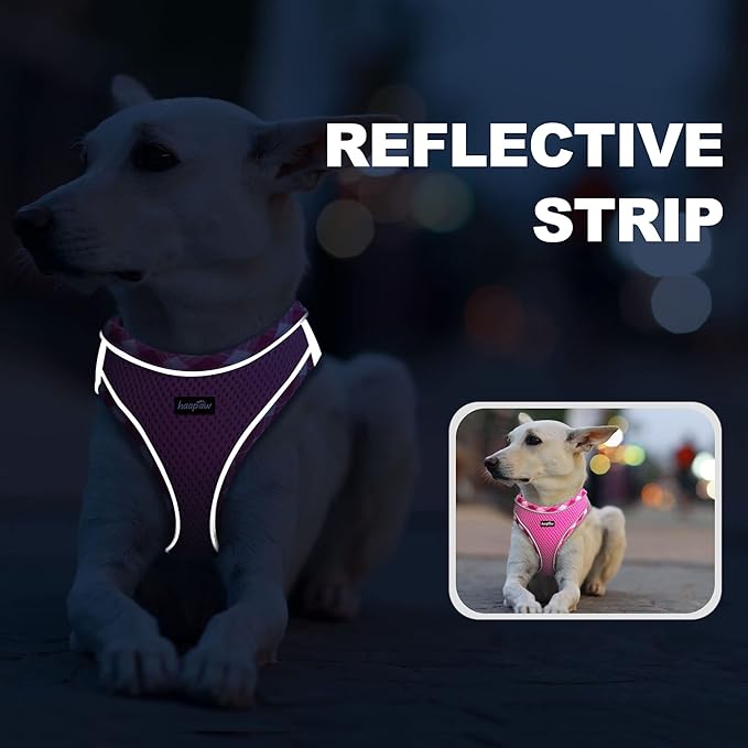 haapaw Dog Harness with Leash Set, No Pull Adjustable Reflective Step-in Puppy Harness with Thickened Padded Vest for Extra-Small/Small Medium Dogs-Mewly Pet