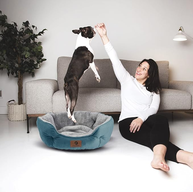 Asvin Small Dog Bed for Small Dogs, Cat Beds for Indoor Cats, Pet Bed for Puppy and Kitty, Extra Soft & Machine Washable with Anti-Slip & Water-Resistant Oxford Bottom, Teal, 20 inches-Mewly Pet