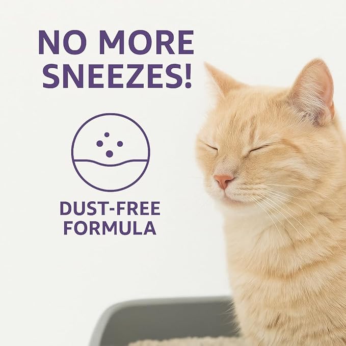 Lavender Scented Cat Litter – 37.8 lb / 20L, Fast Clumping, Natural Odor Absorption, Lightweight Formula, Made with Turkish White Bentonite-Mewly Pet