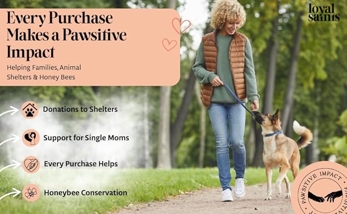 Freeze Dried Raw Dog Food - Premium Turkey and Salmon Flavor with High Protein and Grain Free Dog Food for All Breeds and Picky Eaters - Versatile as Meal Topper, Snack, and Treats, 5 Oz-Mewly Pet