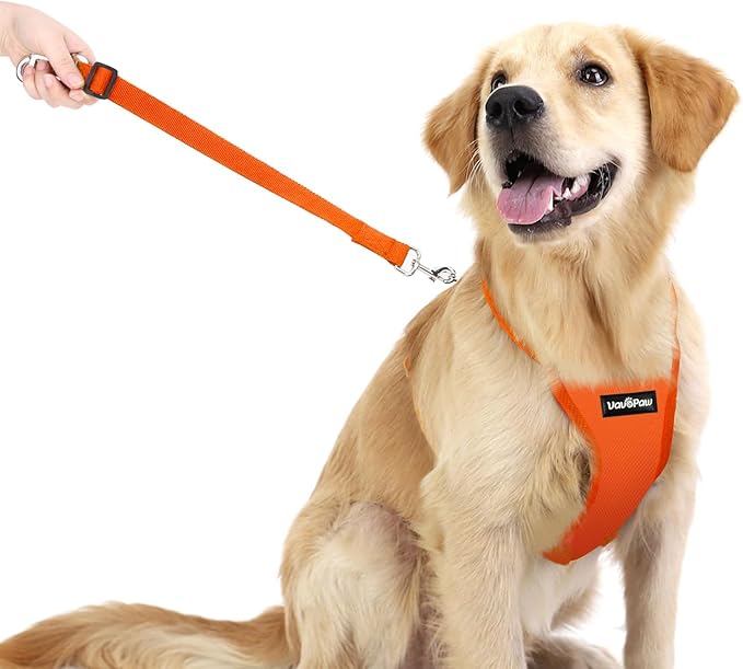 Dog Seat Belt, Safety Vest Dog Car Harness with Adjustable Buckle Dog Seat Belt for Vehicle Nylon Pet Safety Seat Belts Heavy Duty(L, Orange)-Mewly Pet