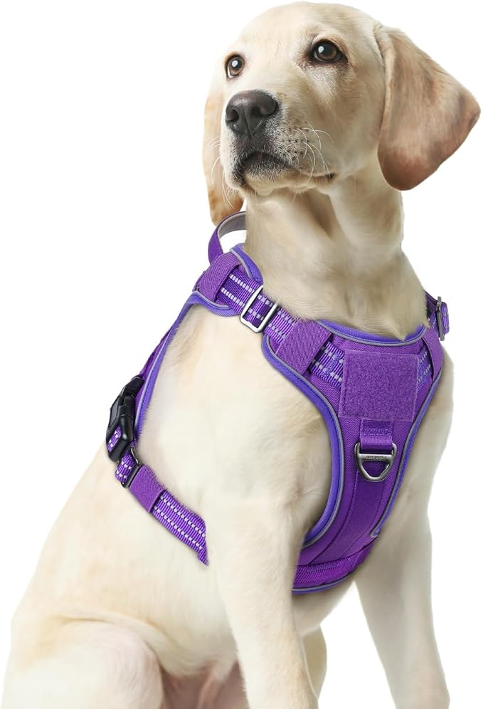 rabbitgoo Dog Harness Medium Sized No Pull, Tactical Service Pet Vest with Molle and Control Handle, Adjustable and Reflective Military Harness for Easy Walking and Training, Purple, M-Mewly Pet