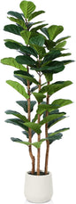 Artificial Fiddle Leaf Fig Tree with White Planter,5ft Tall Fake Tree with Natural Wood Trunk for Home Decor, Faux Ficus Tree Fake Moss for Indoor Office Living Room