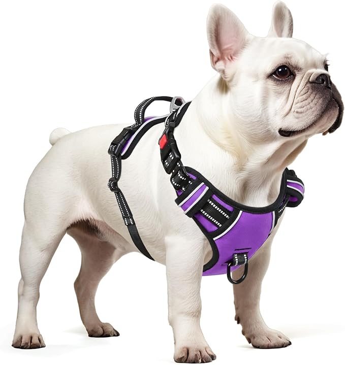 Timos Dog Harness Small Sized, No Pull with Neck Lockable Snap,No Choke Front Clip Dog Reflective Harness,Adjustable Metal Rings 3 Buckles,Easy Control Handle for Small Dogs Purple S-Mewly Pet