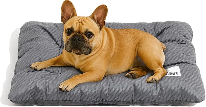 FUNNY FUZZY 30x20 Washable Dog Bed Crate Mat, 2 in1 Pet Pillow Sleeping Bed, Fluffy Deluxe Kennel Mattress for Medium Dog and Cat,Charcoal Grey,M-Mewly Pet
