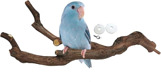 kathson Natural Parrot Perch Bird Stand Pole Wild Grape Stick Paw Grinding Fork Parakeet Climbing Standing Branches Toy Chewable Cage Accessories for Small Budgies Cockatiels Lovebirds-Mewly Pet
