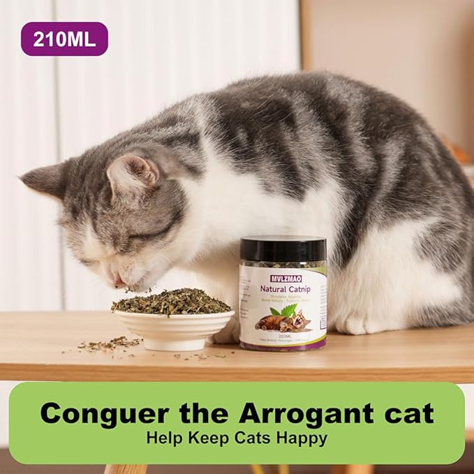 210ML Organic 100% Natural Catnip Cattle Grass Mint Taste Funny Cat Toy New Cat Toy Interactive Cat Toys Pet Supplies-Mewly Pet