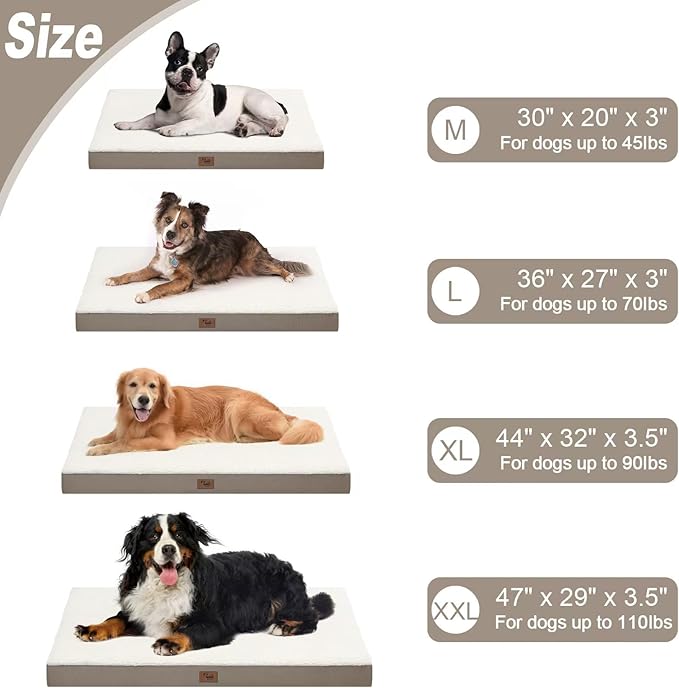Medium Dog Bed for Medium/Small Dogs, Orthopedic Dog Beds with Removable Washable Waterproof Cover, Egg Crate Foam Pet Bed Mat, Khaki White-Mewly Pet