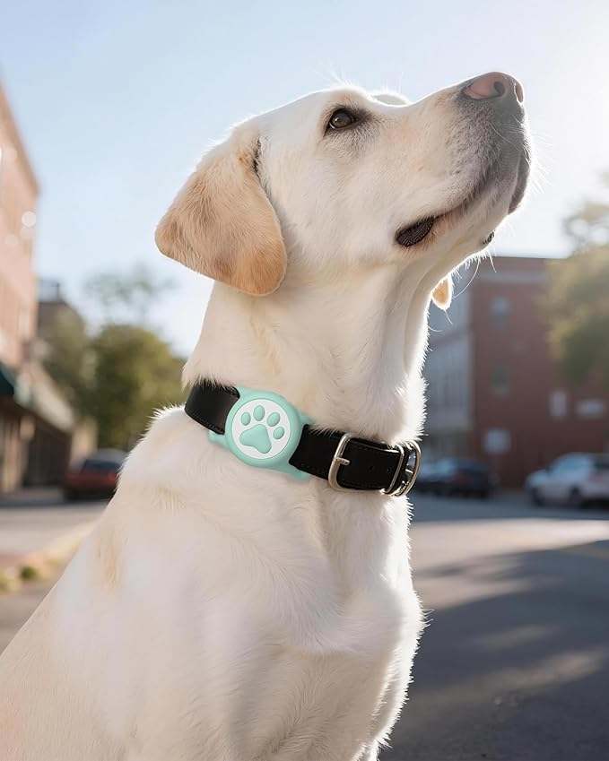 IP68 Waterpoof Dog Airtag Holder, Stretchy Silicone Full Body Covered Apple Air Tag Holder for Dog Cat Collar Fit All Width Collar (Green, 1 Pack)-Mewly Pet